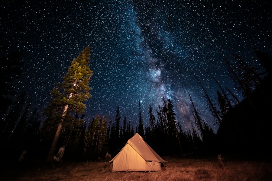 Glowing bell tent under a starry night sky in the forest