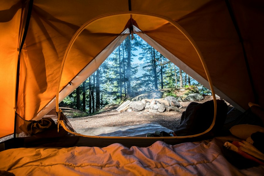 Looking out from a tent onto a forest campsite